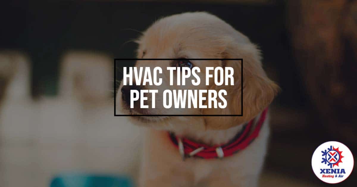 HVAC Maintenance For Pet Owners Xenia Heating & Air